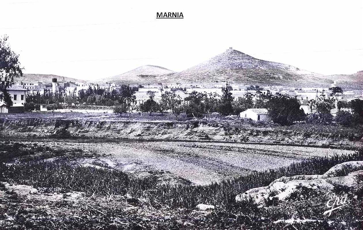 Marnia 247.jpg
